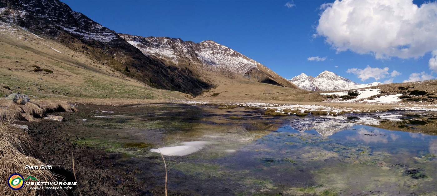 59 Ecco un bel laghetto in avanzato disgelo con pascoli che stanno rinverdendo cosparsi di Crocus vernus .jpg